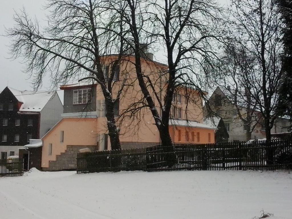 Penzion Vila Victoria Abertamy Zewnętrze zdjęcie